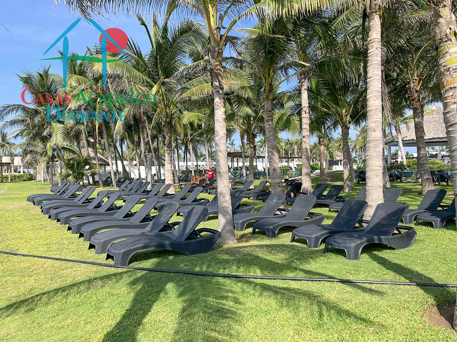 Puerta al Sol - Club de playa 36